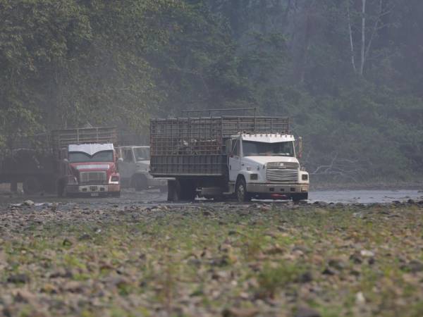 La Unidad Investigativa de EL HERALDO Plus viajó a la Reserva de la Biosfera del Río Plátano para evidenciar la deforestación en la zona núcleo