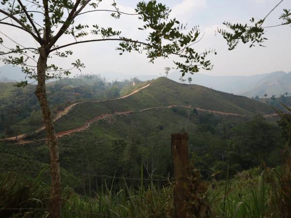 La Unidad Investigativa de EL HERALDO Plus se internó por diferentes narcocarreteras que conectan a la zona núcleo de la Reserva de la Biosfera del Río Plátano en Gracias a Dios.