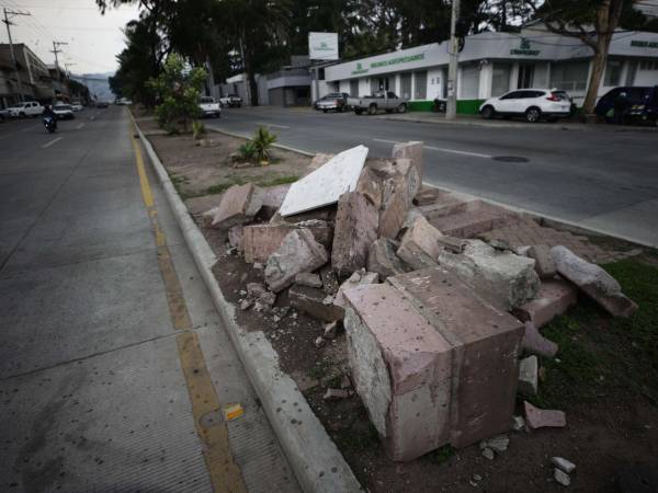 Entre la gloria y escombros permanecen los bustos de los héroes latinoamericanos en el bulevar Los Próceres y el esplendor que inició en la década de 1950 -con la edificación de los 17 ilustres- cada día se apaga.