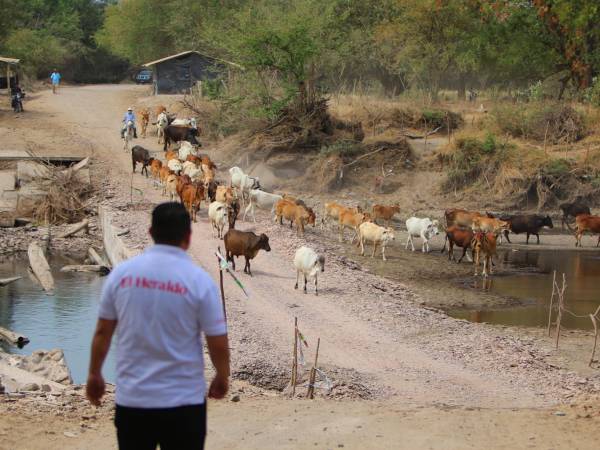 Proyectos como la construcción del puente Los Amates en Alianza, Valle, se gestionaron con Invest-H, pero la SIT desestimó lo avanzado y comenzó el proceso de nuevo.