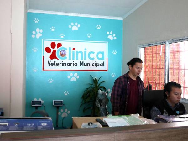 Este es el área de recepción donde recibirán a las personas con sus mascotas para brindarle la atención necesaria.