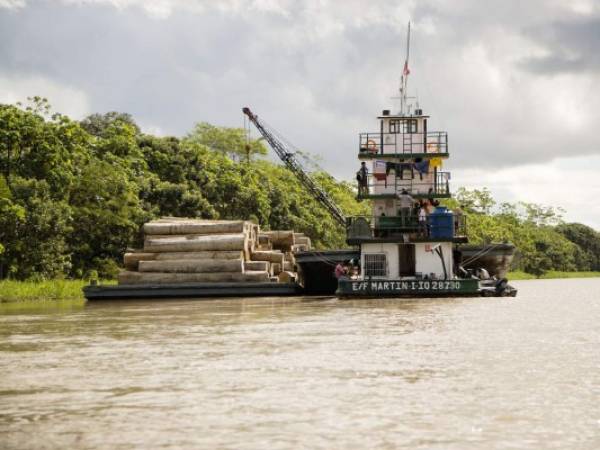 Desde 1978 se han perdido más de 750,000 kilómetros cuadrados de selva amazónica debido a la deforestación, según datos del sitio ambiental Mongabay.