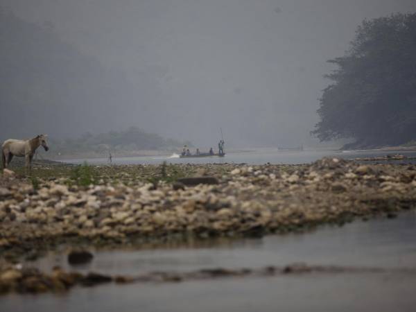 La situación del río Coco o Segovia es deprimente debido al daño que recibe su cuenca.