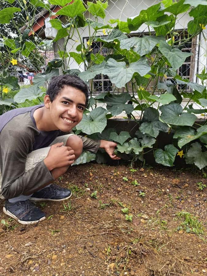 Este jovencito se mostró orgulloso de enseñar algunos de los pepinos que ya comienzan a crecer en el huerto.