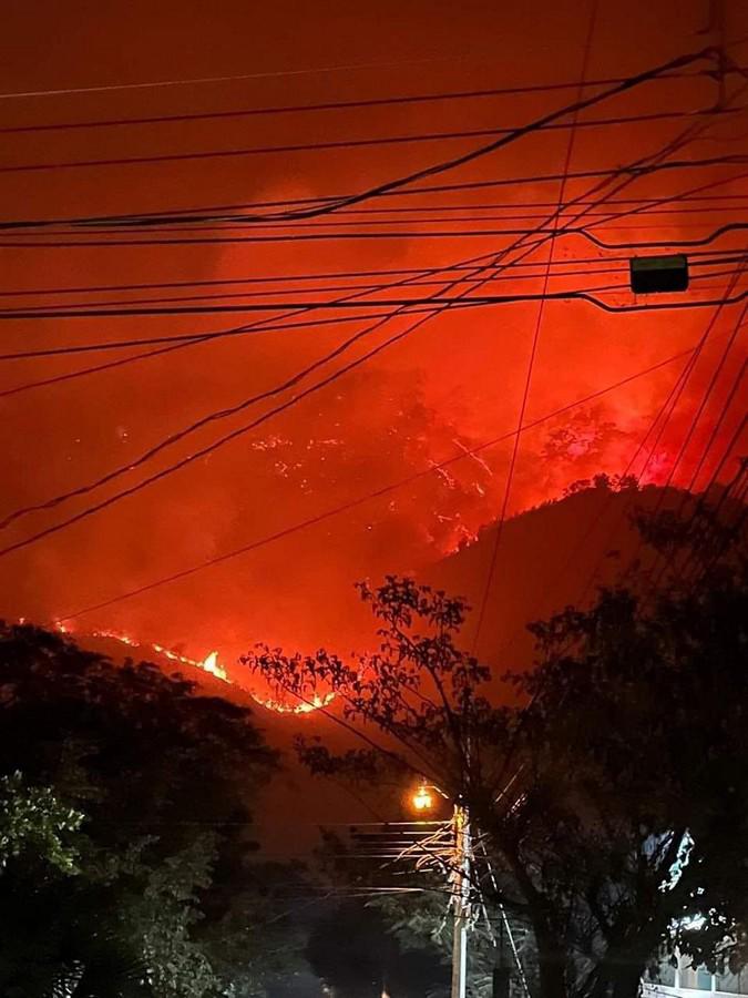 Así se observaban las pavorosas llamas que consumieron el bosque.