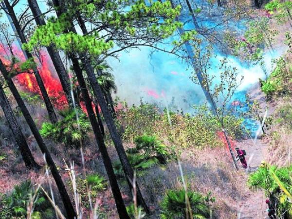 Nuevamente los alrededores de la capital estaban amenazados por los incendios forestales.