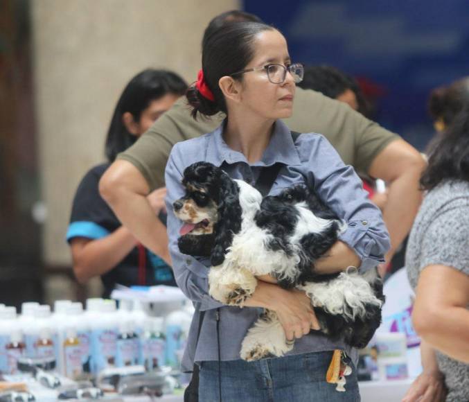 Amor, adopciones y mucha diversión, así se vivió el Pet Ville 2023