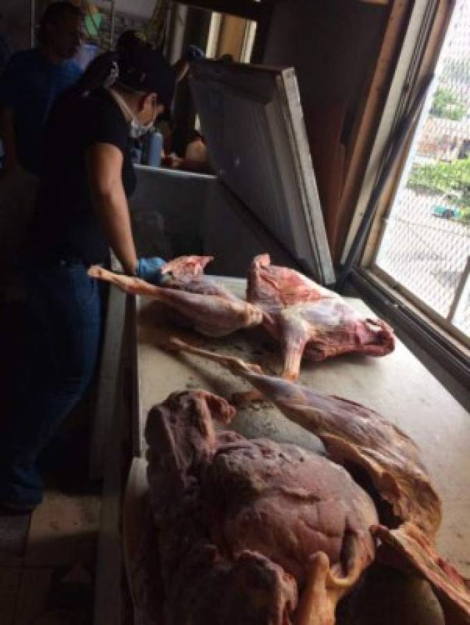 Empresarios solicitan a Fiscalía dictamen sobre carne de perros hallada en restaurante chino