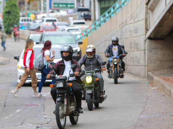 Según la Dirección Nacional de Vialidad y Transporte, el 90% de los accidentes se deben a la imprudencia del conductor.