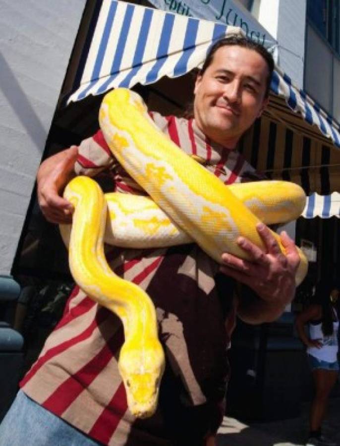 Cliente enojado deja una serpiente gigante dentro de restaurante