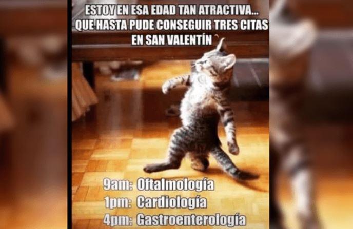 ¿El amor está en el aire? Los mejores memes por Día de San Valentín