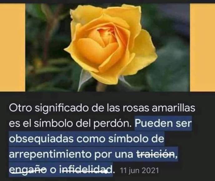 ¿No te dieron flores amarillas? Estos memes son para ti