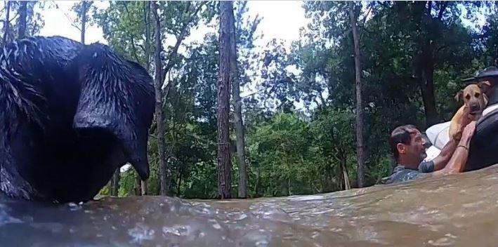 Lucas Warren, el niño que murió arrastrado por la corriente en inundaciones en Texas