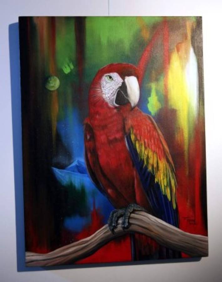 “Guacamaya”, el ave nacional de Honduras. Foto Jimmy Argueta / El Heraldo.