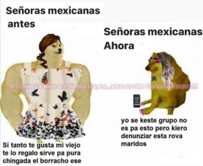 Muere Balltze, el famoso perrito que conquistó con sus stickers y memes