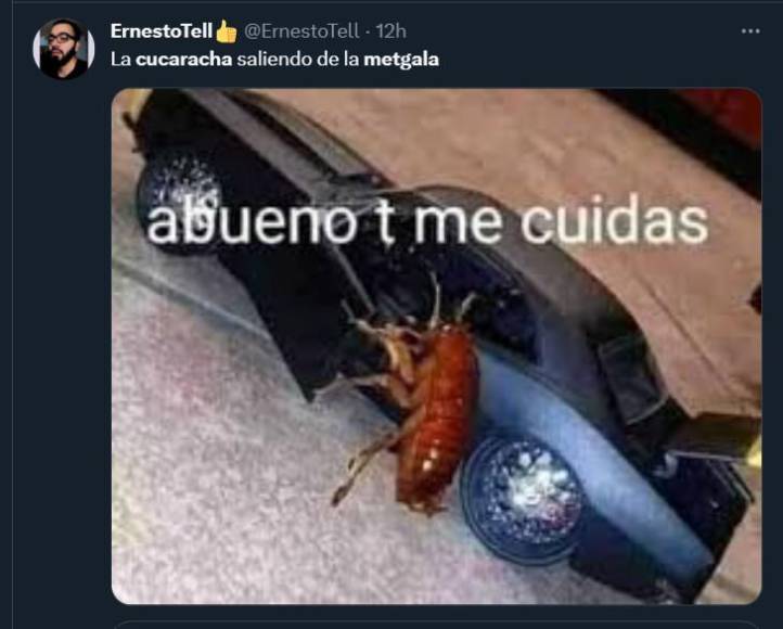 Los imperdibles memes de la cucaracha de la Met Gala 2023