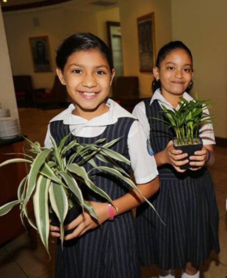 Cinco escuelas apuestan por una ciudad verde