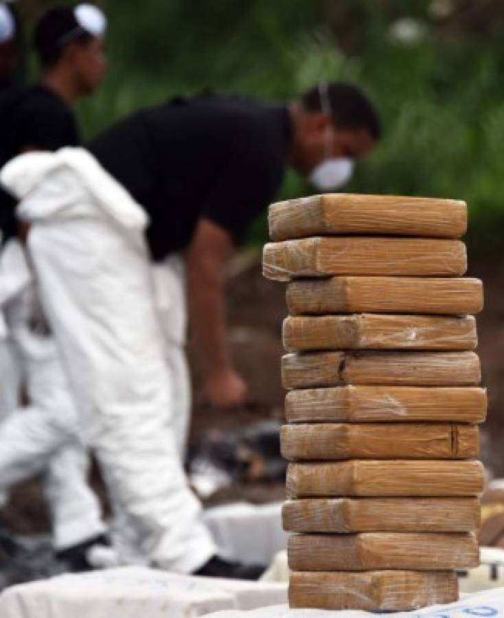 Incineran seis toneladas de drogas incautadas en Panamá