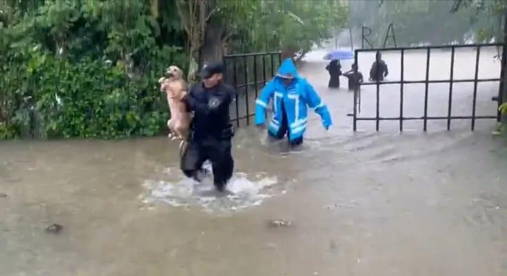 Inundados y sin paso en varios sectores de la zona norte por lluvias