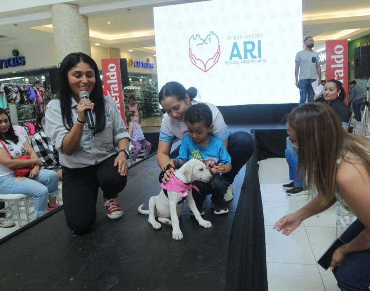 Amor, adopciones y mucha diversión, así se vivió el Pet Ville 2023