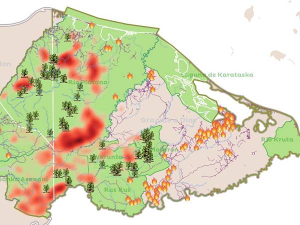 Las zonas de color rojo representan a la masiva deforestación. Las llamas, los incendios forestales.