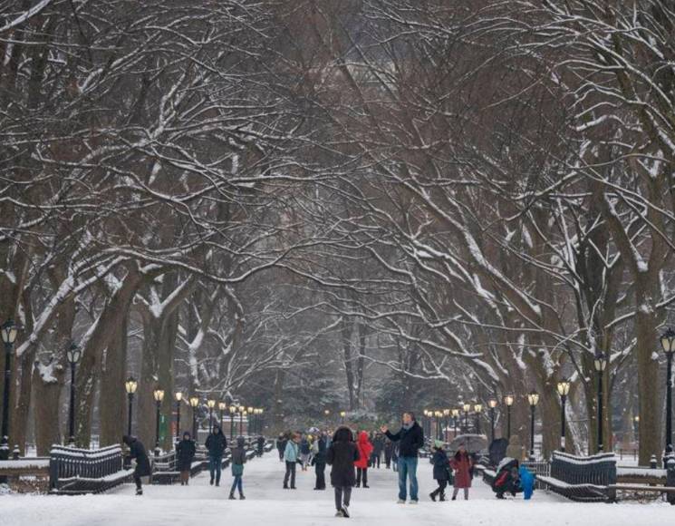 Neoyorquinos viven su primera nevada en los últimos dos años