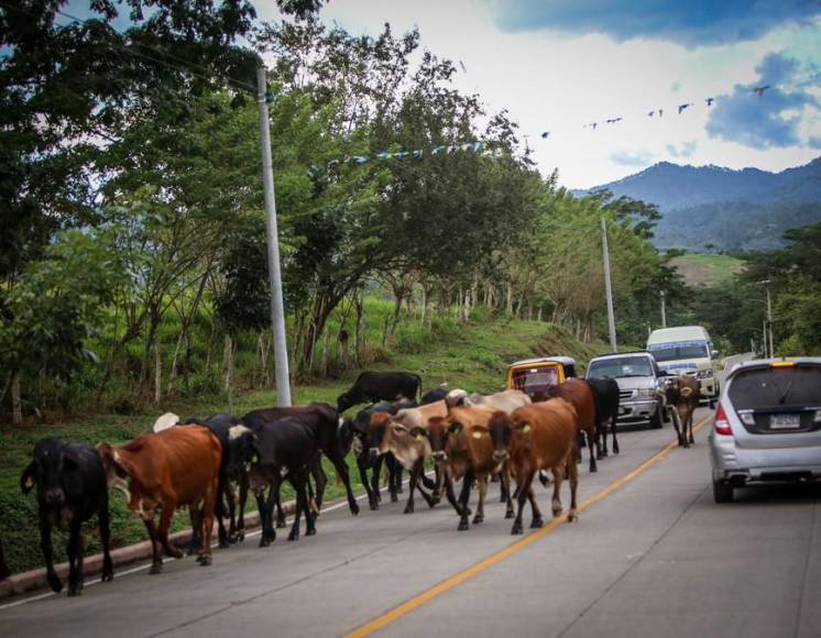 Pobladores de San Marcos se rehúsan a hablar de “El Patrón”