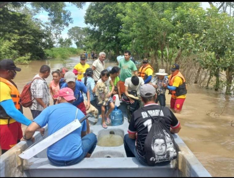 Sacados en brazos, con pocas pertenencias y sus animalitos: el drama que viven familias evacuadas (Fotos)