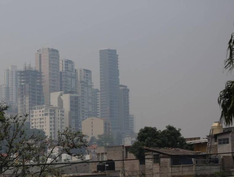 ¡300 árboles, un solo hombre!: Javier Rivera, el hondureño que inicia reforestación en la capital