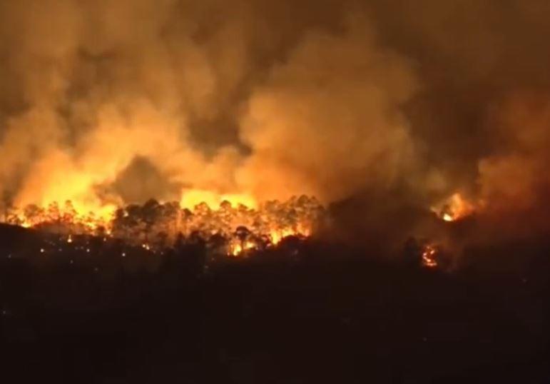 Arde La Tigra: impactantes imágenes del incendio forestal de gran magnitud