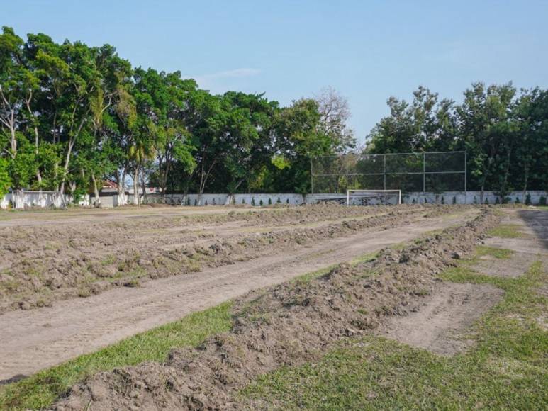 Marathón sorprende con reparación de cancha del estadio Yankel Rosenthal