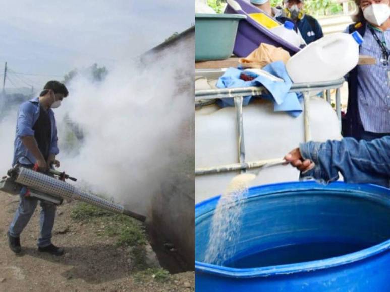 Prevenciones que los hondureños deben tomar para evitar el contagio del dengue