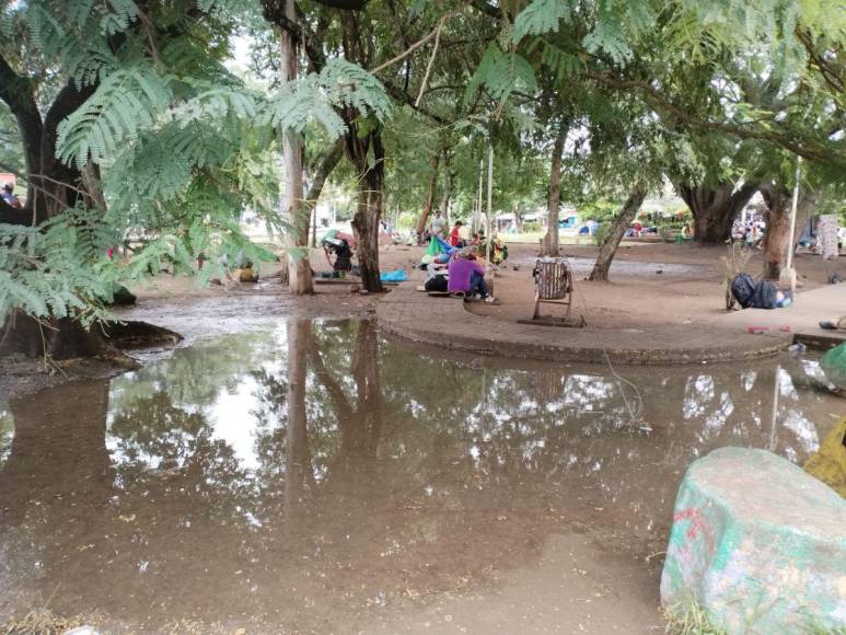 Migrantes siguen varados en Danlí; denuncian contaminación de ambientes por falta de sanitario