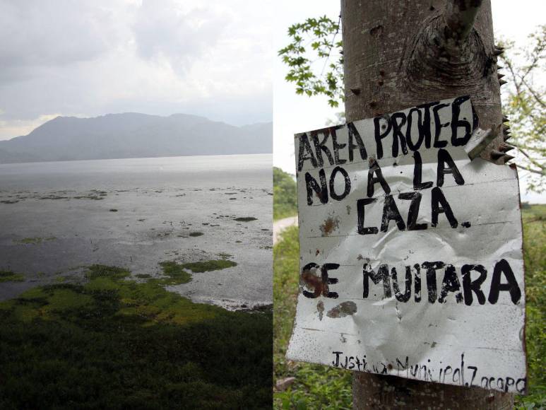 Las imágenes que muestran la deforestación e invasiones que amenazan al Lago de Yojoa