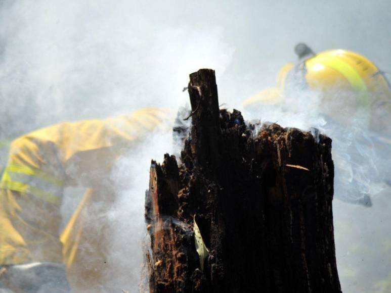 Desolación y aire contaminado en la capital dejan incendios forestales en La Tigra