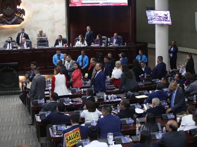 Diputados vuelven a sesionar en el Congreso Nacional entre dimes y diretes