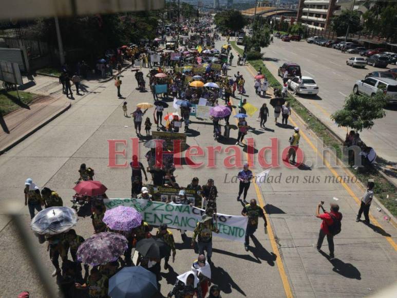 Devoción y fe: Capitalinos celebran Día de la Biblia (FOTOS)