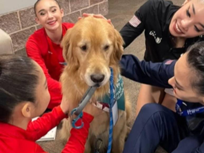 ¿Quién es Beacon, el perro terapia que forma parte del team USA de gimnasia?