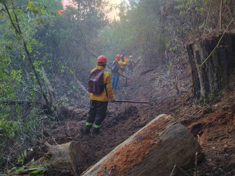 Las impactantes imágenes del incendio forestal que arrasó con todo a su paso en cerro El Trigo