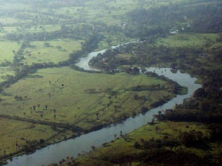 Ocupación de tierras, narcocarreteras y deforestación: conflicto en el río Plátano