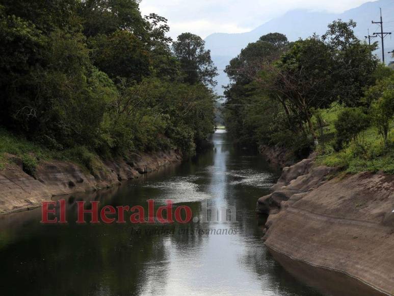 Heces, metales pesados y agroquímicos matan lentamente el Lago de Yojoa (FOTOS)