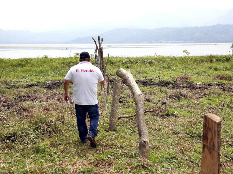 Las imágenes que muestran la deforestación e invasiones que amenazan al Lago de Yojoa