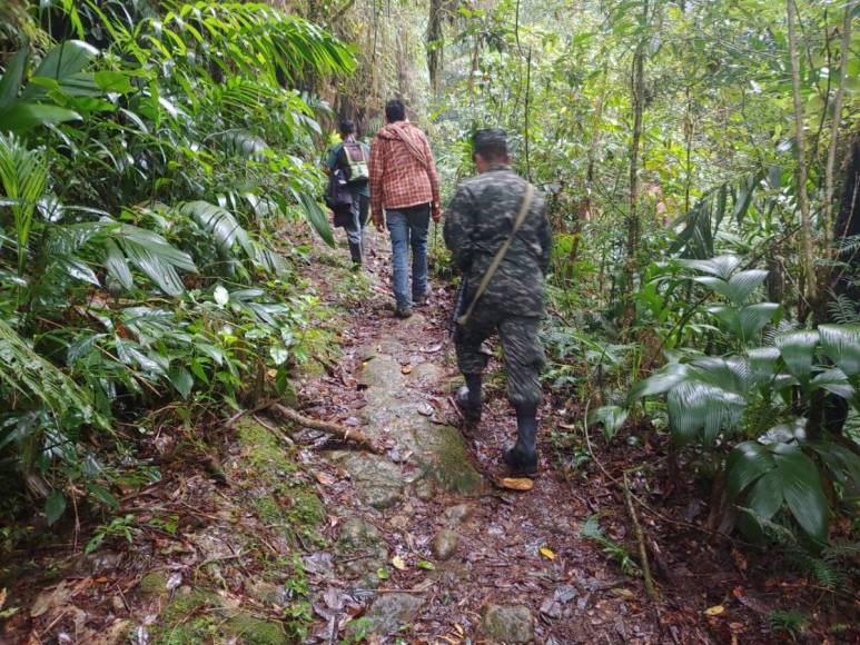 ¿Cómo encontraron al senderista desaparecido en La Tigra?