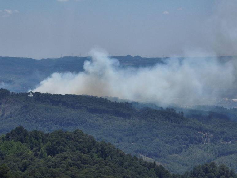 En imágenes: así luce la capital luego del pavoroso incendio forestal que estremeció el cerro El Trigo