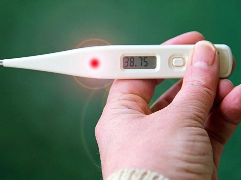 Lo que se sabe de la viruela del mono, enfermedad que alarma a Europa