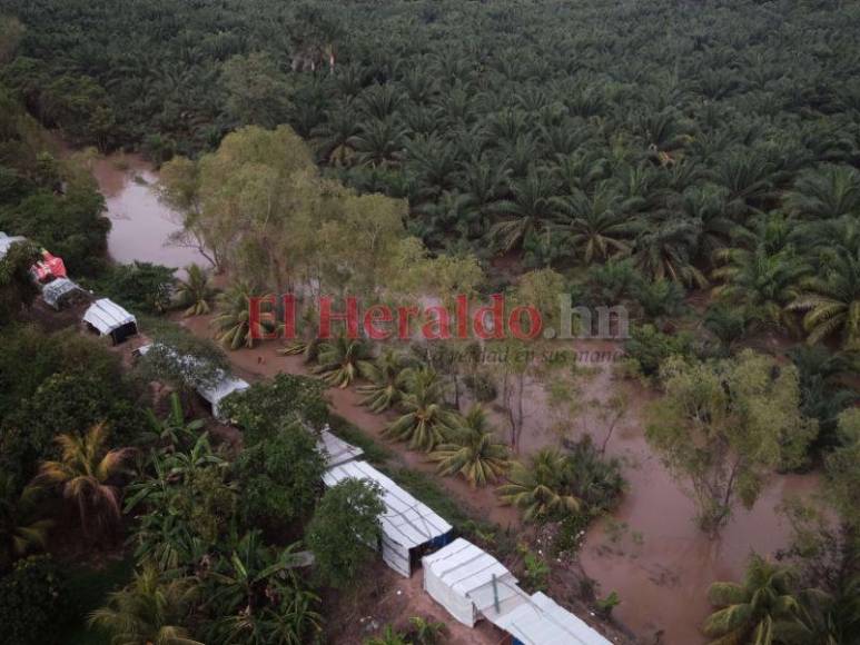 Inundada, destruida y con hambre: Choloma queda sumergida bajo agua, entre lodo y escombros