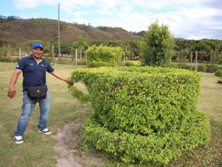 Adrenalina y ambiente familiar: así es la increíble experiencia al visitar el Laberinto de Cipreses en Comayagua