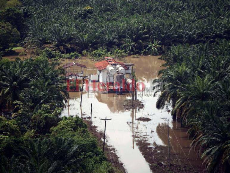 Inundada, destruida y con hambre: Choloma queda sumergida bajo agua, entre lodo y escombros