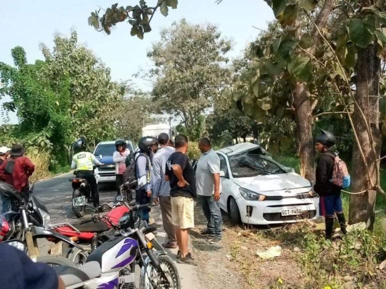 Joven muere tras estrellarse contra árbol en Ecuador; evitó atropellar a perro