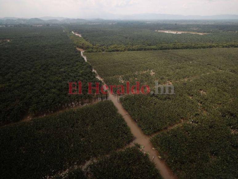 Inundada, destruida y con hambre: Choloma queda sumergida bajo agua, entre lodo y escombros